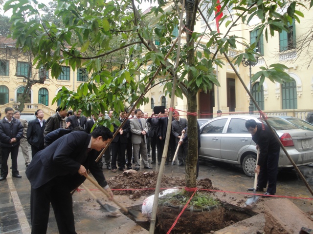 Tổng cục Địa chất và Khoáng sản  tổ chức lễ trồng cây nhân dịp đầu xuân Quý Tỵ 2013